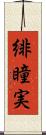 緋瞳実 Scroll