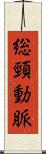 総頸動脈 Scroll