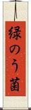 緑のう菌 Scroll