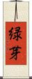 緑芽 Scroll