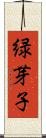 緑芽子 Scroll