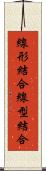 線形結合 Scroll