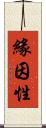 緣因性 Scroll