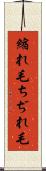 縮れ毛 Scroll