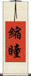 縮瞳 Scroll
