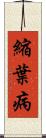 縮葉病 Scroll