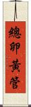 總卵黃管 Scroll