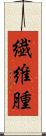 繊維腫 Scroll