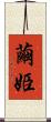 繭姫 Scroll