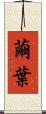 繭葉 Scroll
