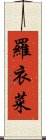 羅衣菜 Scroll