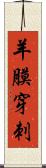 羊膜穿刺 Scroll