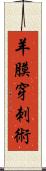 羊膜穿刺術 Scroll