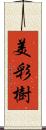 美彩樹 Scroll