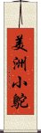 美洲小鴕 Scroll