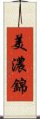 美濃錦 Scroll