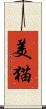 美猫 Scroll