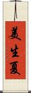 美生夏 Scroll