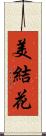 美結花 Scroll