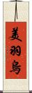 美羽烏 Scroll