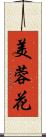 美蓉花 Scroll