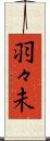 羽々未 Scroll