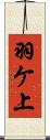 羽ケ上 Scroll