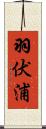 羽伏浦 Scroll