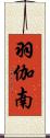 羽伽南 Scroll