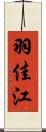 羽佳江 Scroll