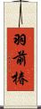 羽前椿 Scroll