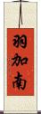 羽加南 Scroll