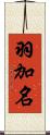羽加名 Scroll