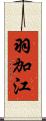 羽加江 Scroll
