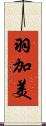 羽加美 Scroll