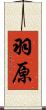 羽原 Scroll