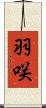 羽咲 Scroll