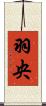 羽央 Scroll