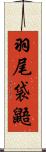 羽尾袋鼯 Scroll