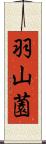 羽山薗 Scroll