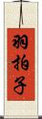 羽拍子 Scroll