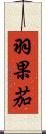 羽果茄 Scroll