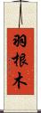 羽根木 Scroll