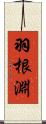 羽根淵 Scroll