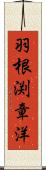 羽根渕章洋 Scroll