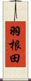 羽根田 Scroll