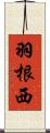 羽根西 Scroll