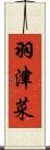 羽津菜 Scroll