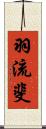 羽流斐 Scroll