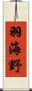 羽海野 Scroll